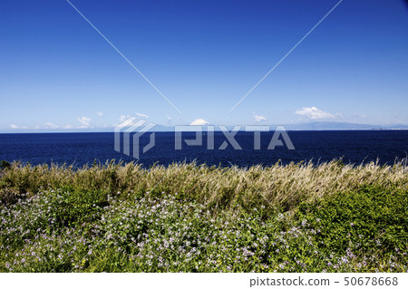 永井（春天） 50678668