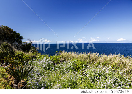 永井（春天） 50678669