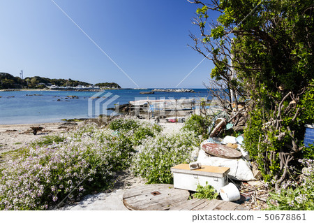 永井(春天) 永井(春天) 50678861