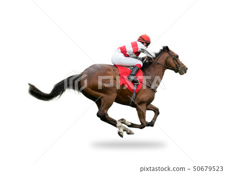 Race horse with jockey on the home straight Race horse with jockey on the home straight 50679523