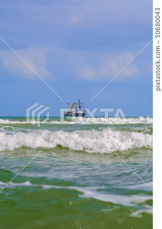 Waves on the Sea 50680043