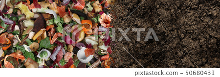 Compost And Composted Soil Compost And Composted Soil 50680431