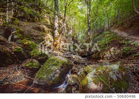 The Devin River Valley The Devin River Valley 50680496