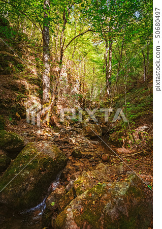 The Devin River Valley 50680497