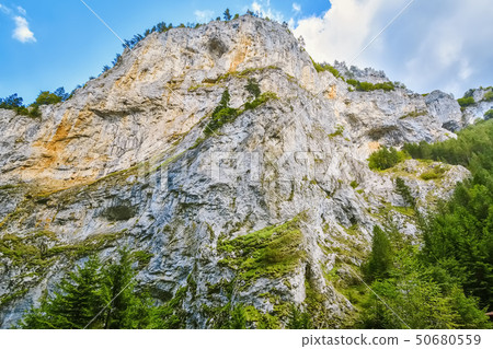 Rhodope Mountains in Bulgaria Rhodope Mountains in Bulgaria 50680559