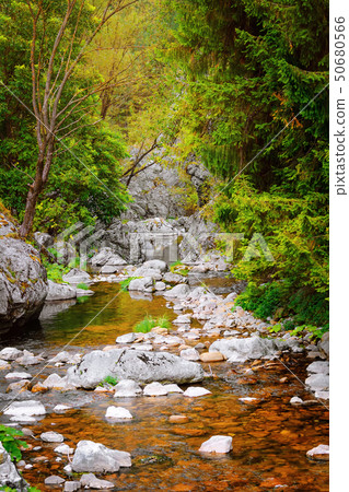 Mountain river in Rhodope Mountains 50680566
