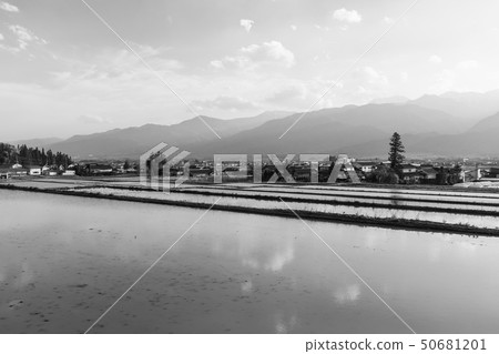 Paddy fields bathing in the setting sun: Monochrome Kita-Azumi-gun Ikedacho Paddy fields bathing in the setting sun: Monochrome Kita-Azumi-gun Ikedacho 50681201