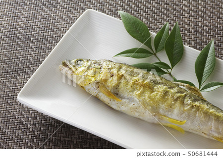 Salt-grilled salmon 11 Salt-grilled salmon 11 50681444