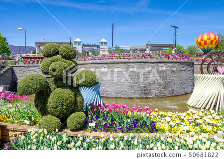 Gunma Flower Park / Tulip Festa Gunma Flower Park / Tulip Festa 50681822