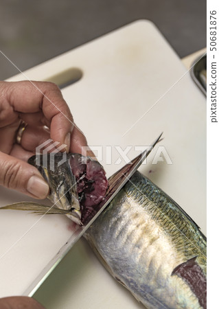 [Grilled mackerel] 50681876