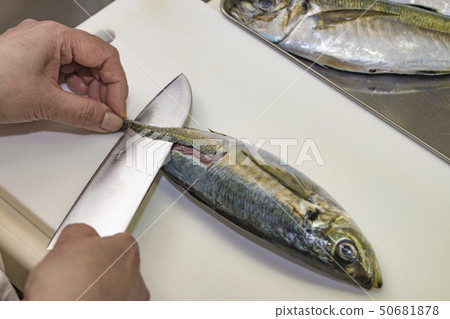 [Grilled mackerel] 50681878