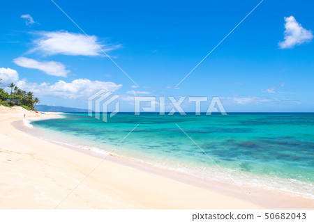 夏威夷 - 瓦胡島北岸日落海灘 50682043