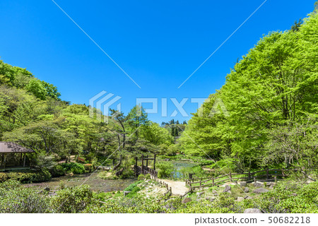 Hyogo Prefecture Rokko Takayama Botanical Garden 50682218