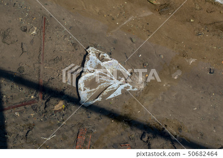 Garbage dumped in the river 50682464