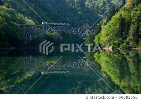 新鮮的綠色Tadami線 新鮮的綠色Tadami線 50682556