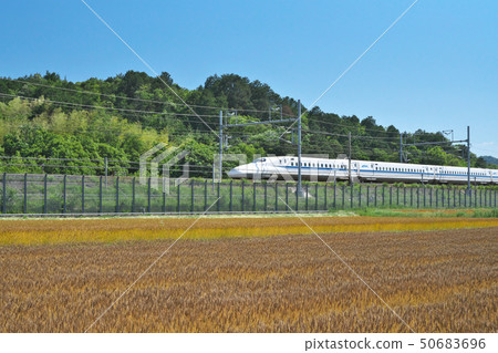 Shinkansen going to wheat autumn 50683696