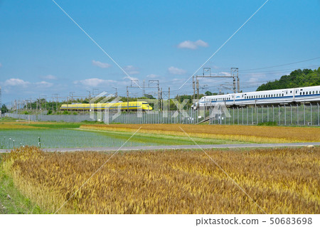 Shinkansen going to wheat autumn 50683698