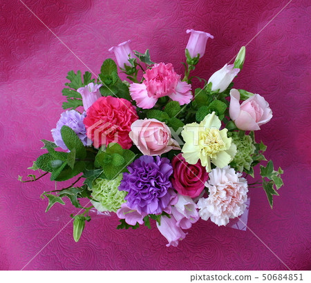 Flower arrangement of colorful carnations 50684851