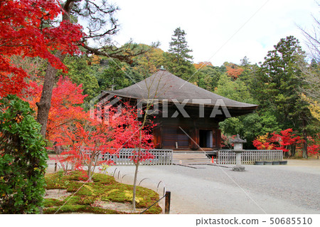 秋天Shiromizu Amidado（福島縣，磐城市） 50685510