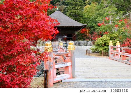 Autumn Shiromizu Amidado (Fukushima Prefecture, Iwaki City) 50685518