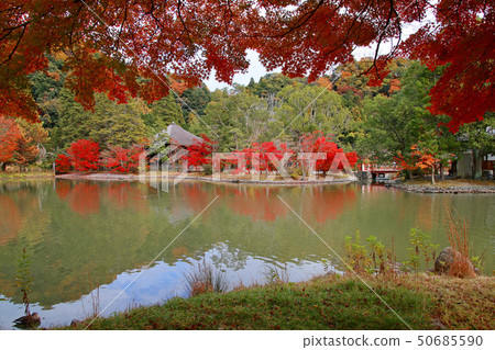 秋天Shiromizu Amidado（福島縣，磐城市） 50685590