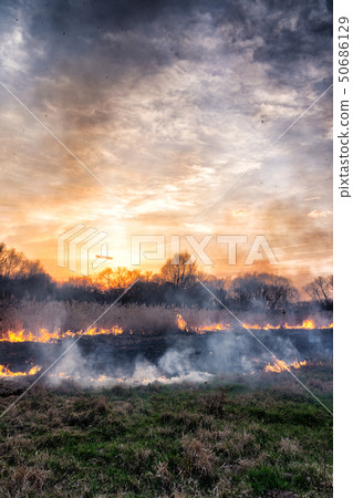 Fires sunset landscape 50686129
