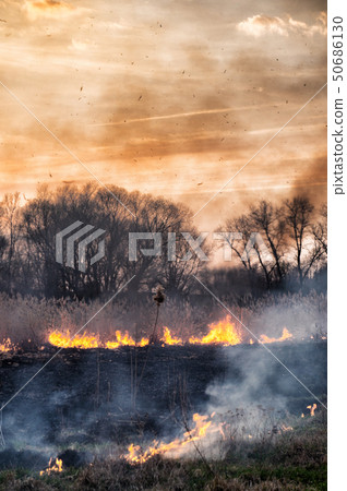 Fires sunset landscape 50686130