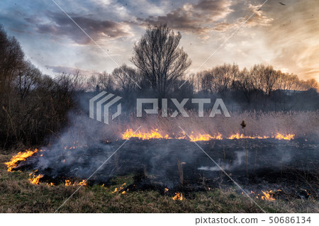 Fires sunset landscape 50686134