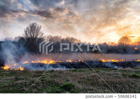 Fires sunset landscape Fires sunset landscape 50686141