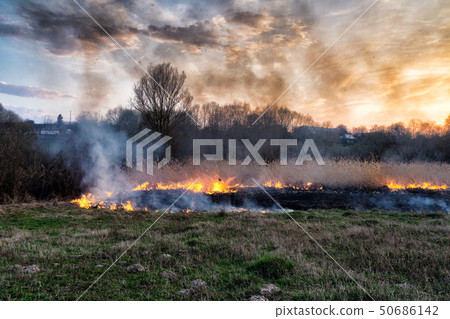 Fires sunset landscape Fires sunset landscape 50686142