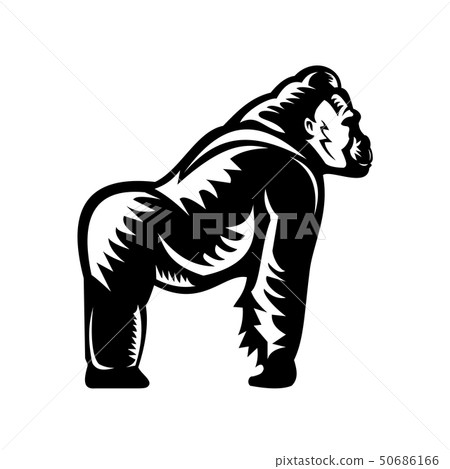 Silverback Gorilla Side View Woodcut 50686166