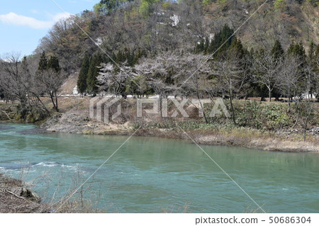 早春溪流 50686304