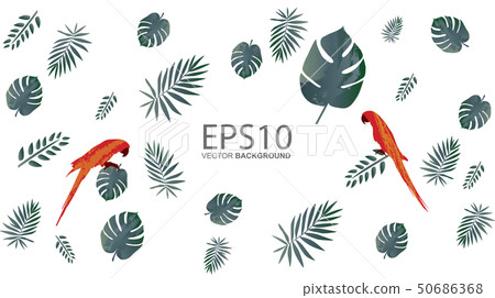 Macaw bird and tropical green leaf pattern 50686368