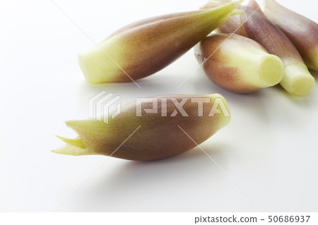 Myoga 19 Myoga 19 50686937