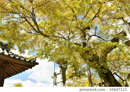 岡山縣Yakage-cho的Ogatsu-ji Temple 50687121