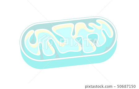 線粒體切掉的線粒體傳染媒介例證 50687150