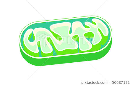 線粒體切掉的線粒體傳染媒介例證 50687151