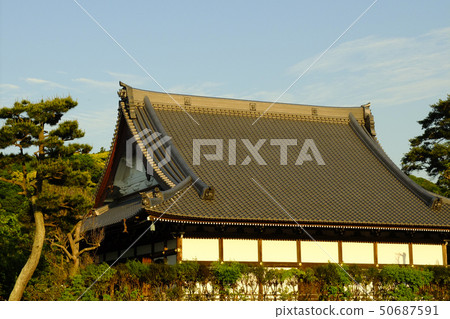 [鎌倉]夕陽下的本加寺 50687591
