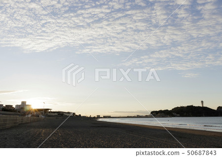 紅富士 紅富士 50687843