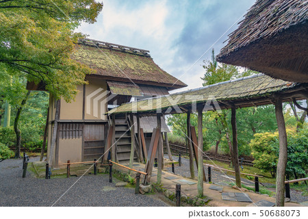 Kodaiji Temple Umbrella and Shiguremu 50688073