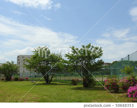 gentle. . laid back. . Walk bench. . . gentle. . laid back. . Walk bench. . . 50688353