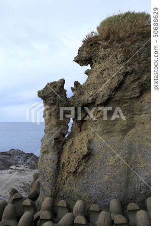 北海道Setana父母和孩子熊岩 50688629