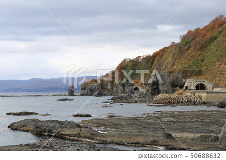 北海道Setana國家公路229，父母和孩子熊隧道 50688632