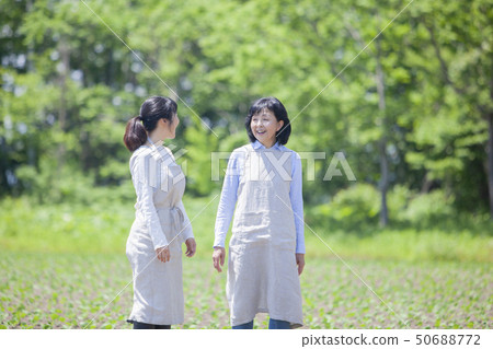 Family parent and child Family parent and child 50688772