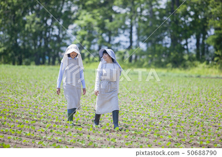 Family parent and child Family parent and child 50688790