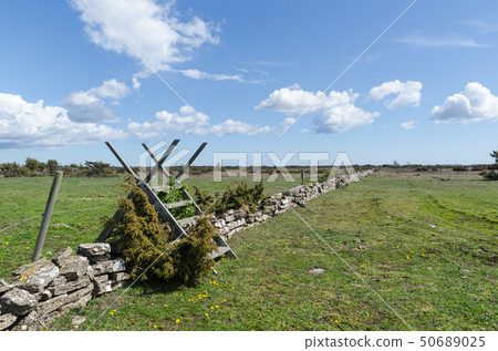 Wooden stile by a dry stone wall in spring season 50689025
