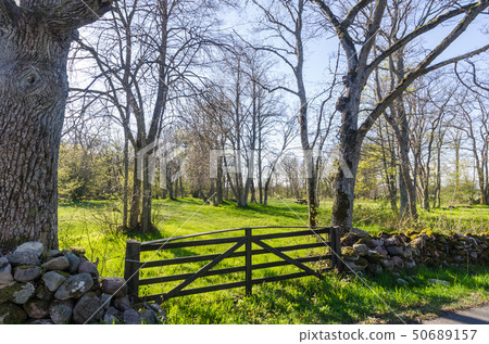 Old wooden gate in a beautiful landscape by spring Old wooden gate in a beautiful landscape by spring 50689157