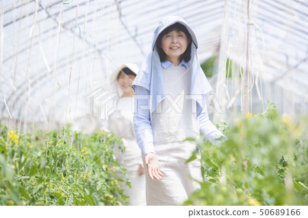 Family parent and child Family parent and child 50689166