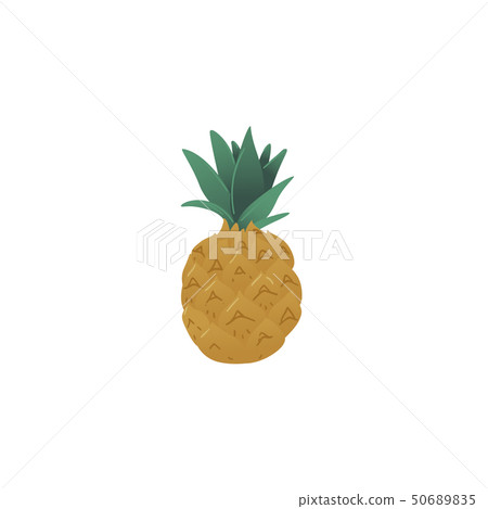 Fresh and juicy pineapple or ananas icon, healthy tropical organic summer fruit. 50689835