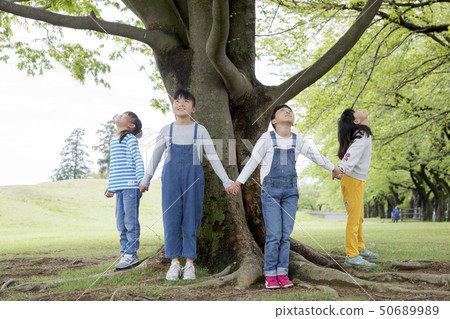 Children holding hands in front of a big tree Children holding hands in front of a big tree 50689989
